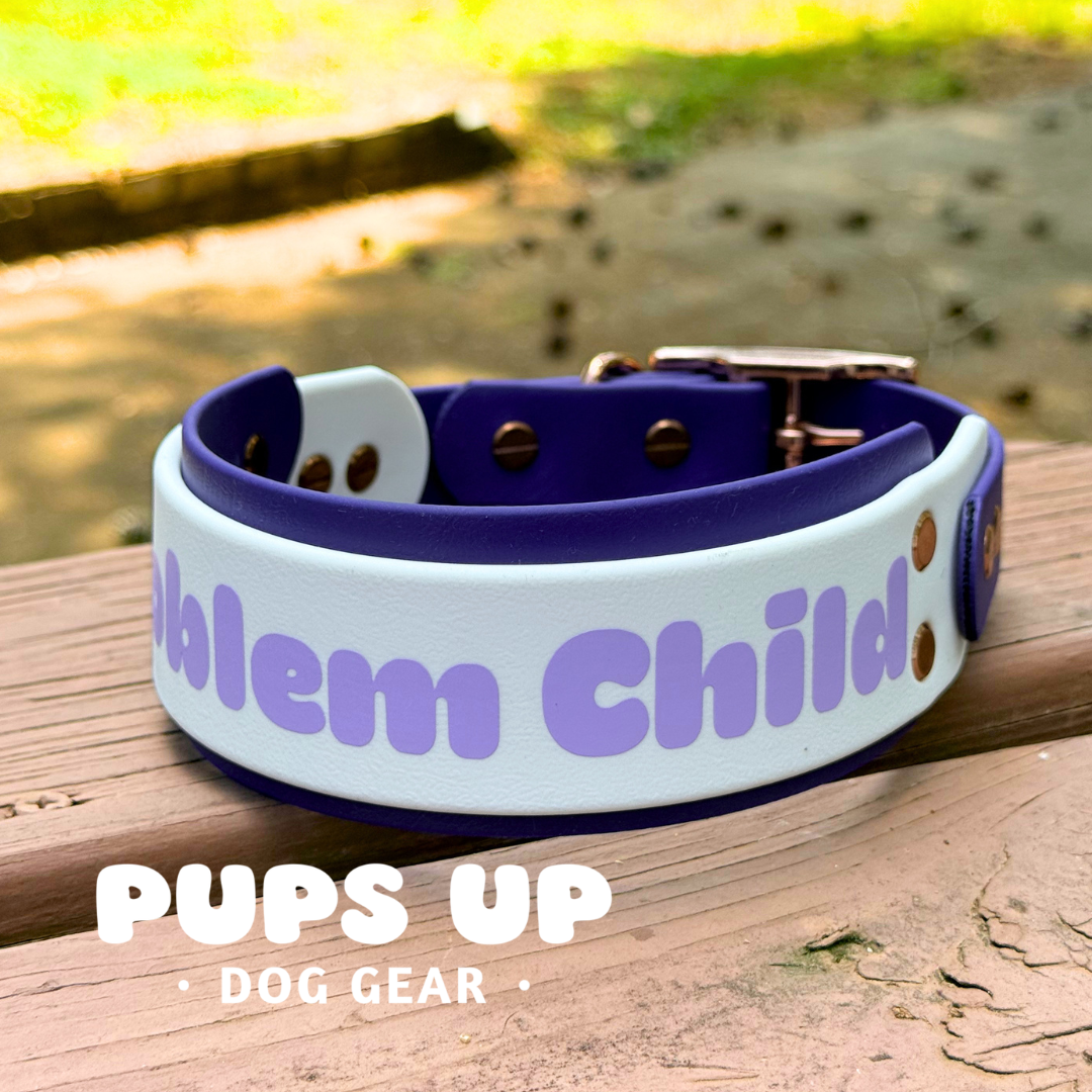 PREMADE 2” Problem Child Collar