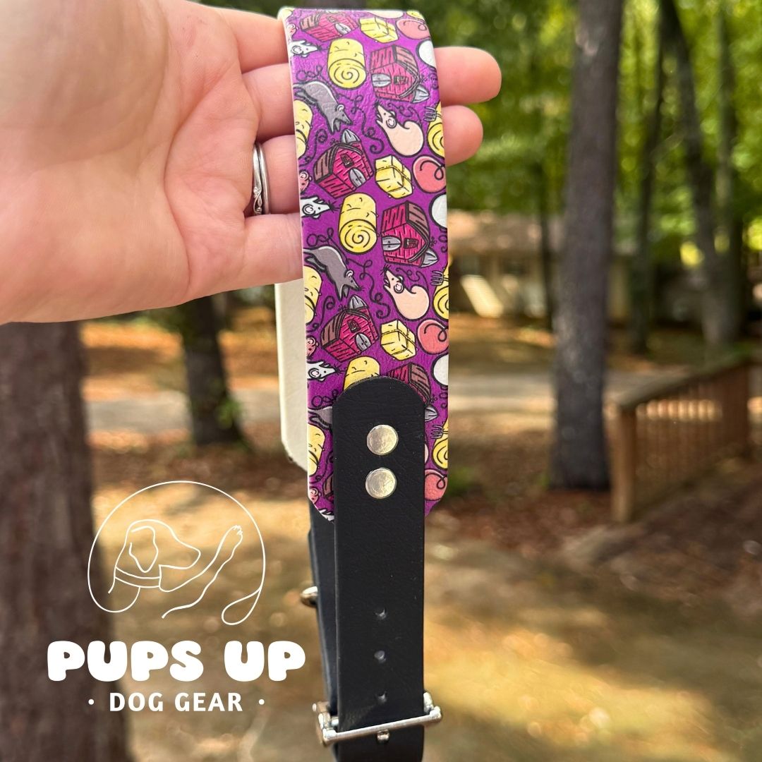 1.5" Tapered Purple Barn Hunt Collar
