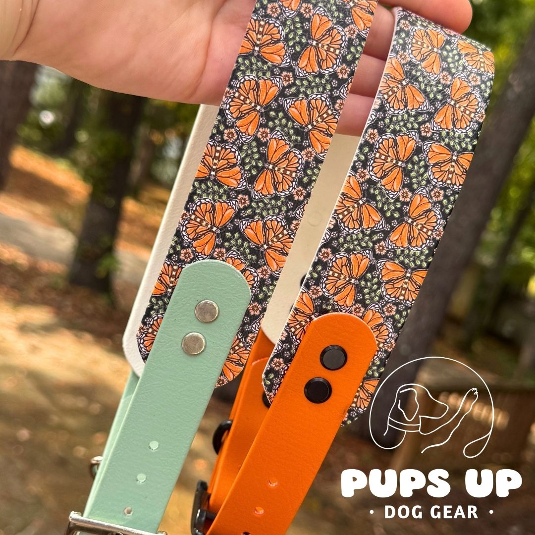 1.5" Tapered Monarch Collar
