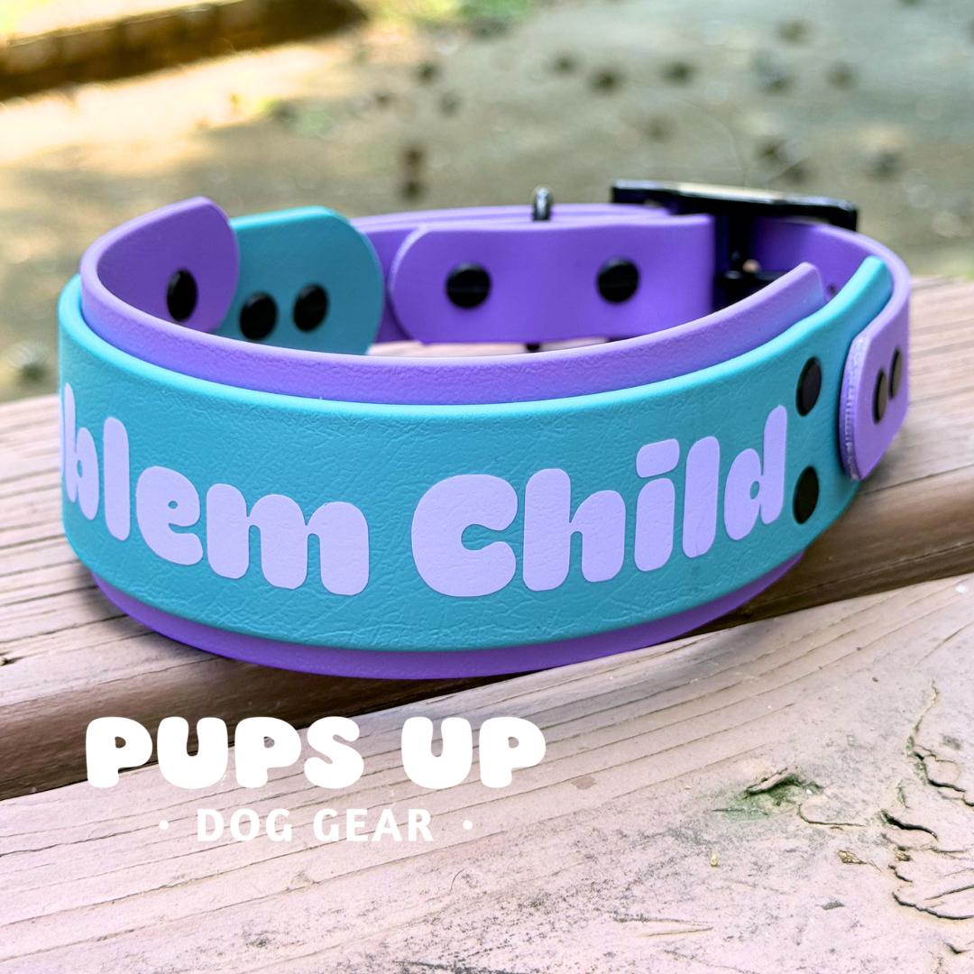 PREMADE 2” Problem Child Collar