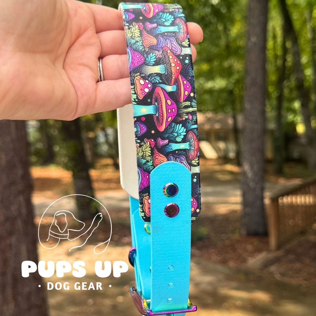 1.5" Tapered Neon Mushroom Forest Collar