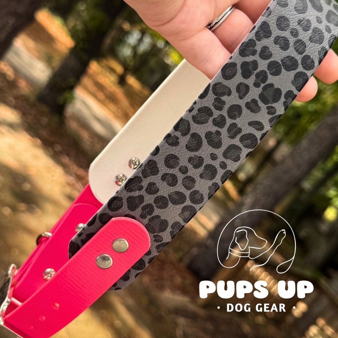 1.5" Tapered Black Leopard Collar