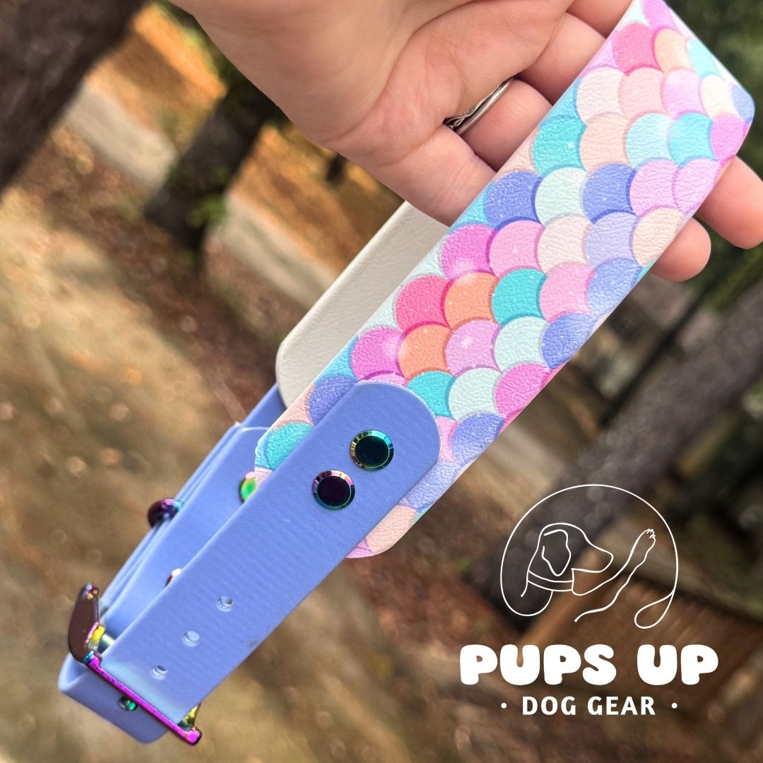 1.5" Tapered Pastel Mermaid Collar