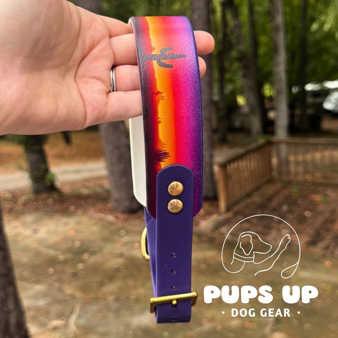 1.5" Tapered Desert Sunset Collar