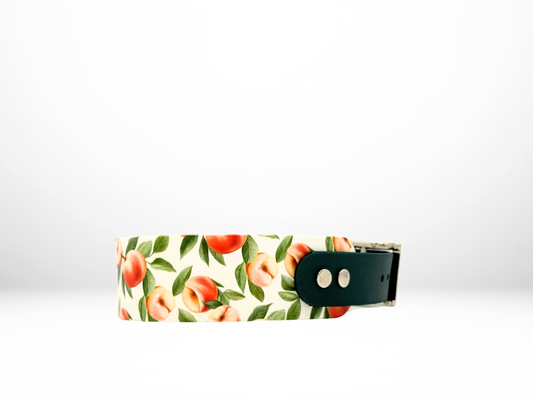 Medium (13-16 Inches) Peaches UV Print with Hunter Accent Dog Collar