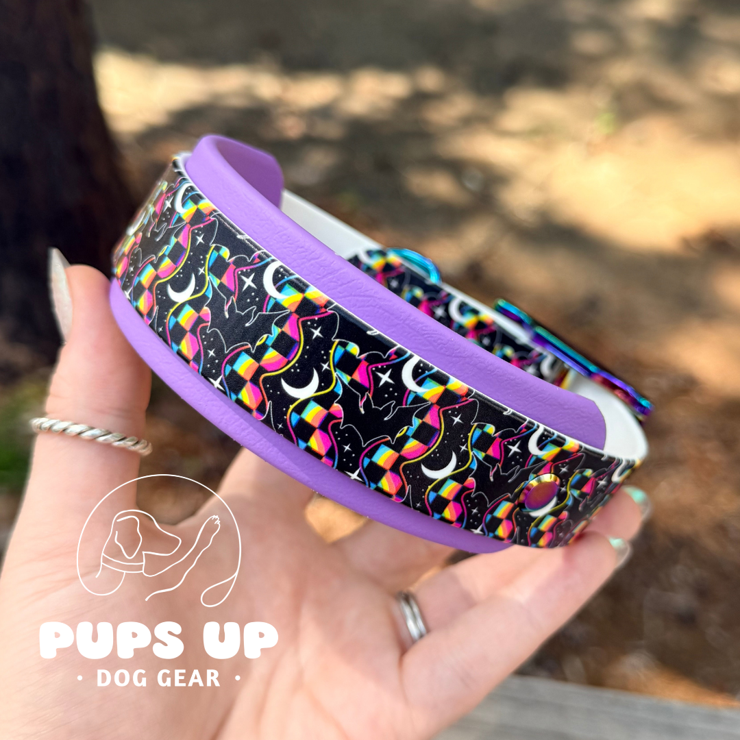 PREMADE 1.5" Retro Bats Collar