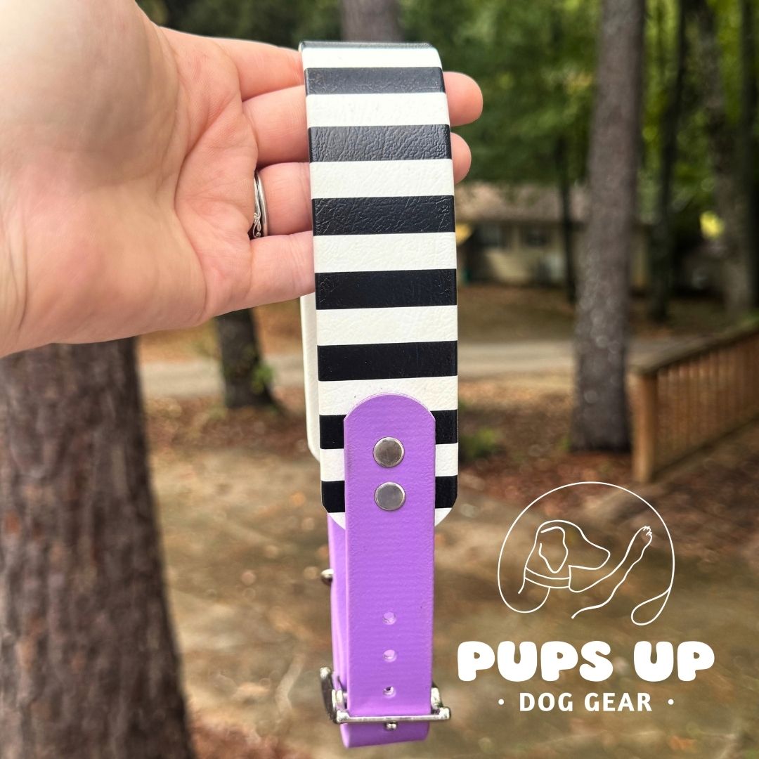 1.5" Tapered Stripes Collar