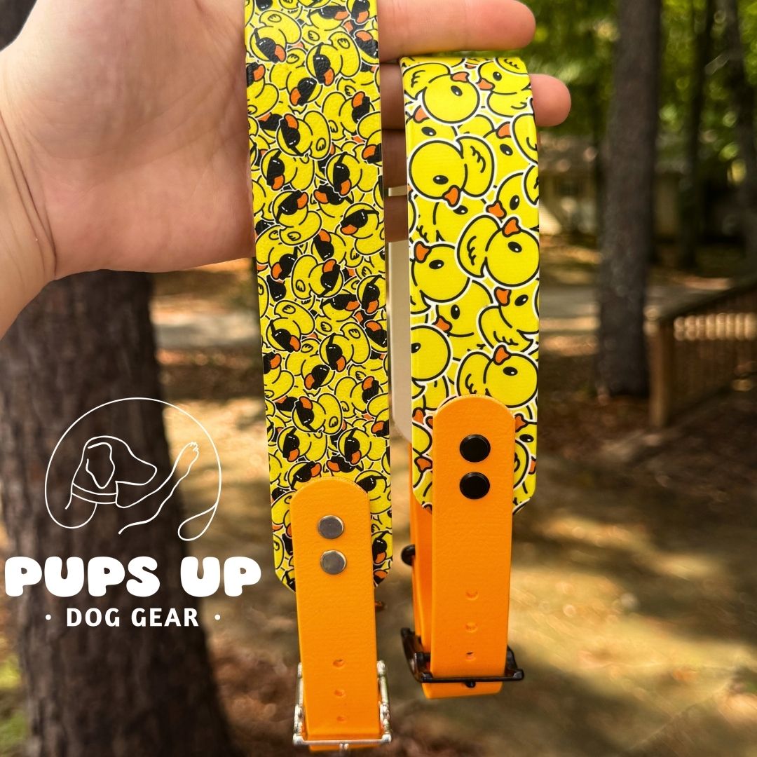 1.5" Tapered Cool Ducks Collar