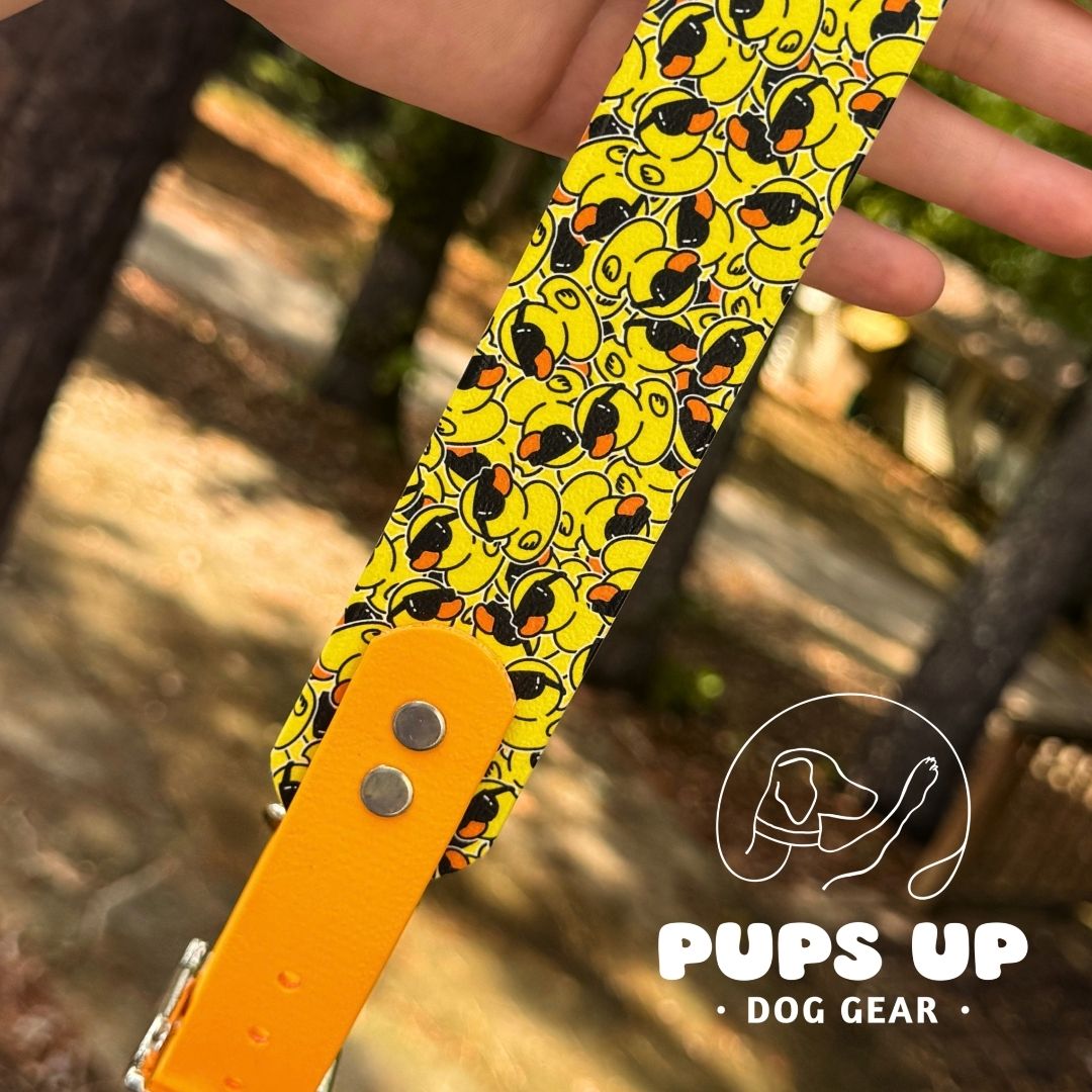 1.5" Tapered Cool Ducks Collar