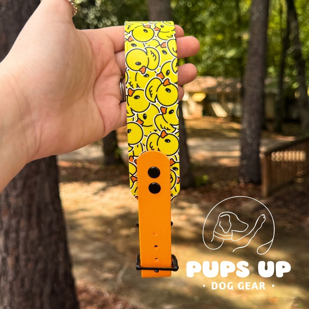 1.5" Tapered Ducks Collar