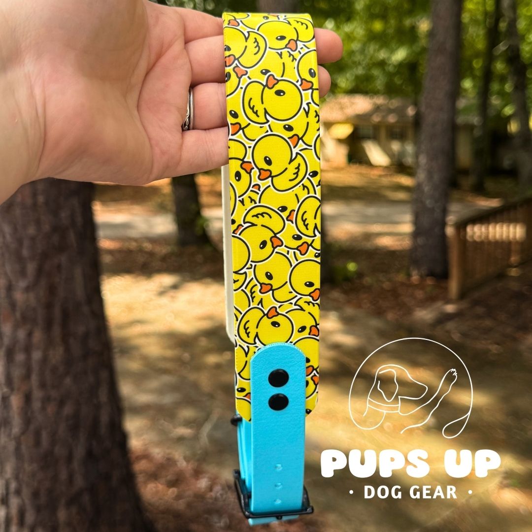 1.5" Tapered Ducks Collar