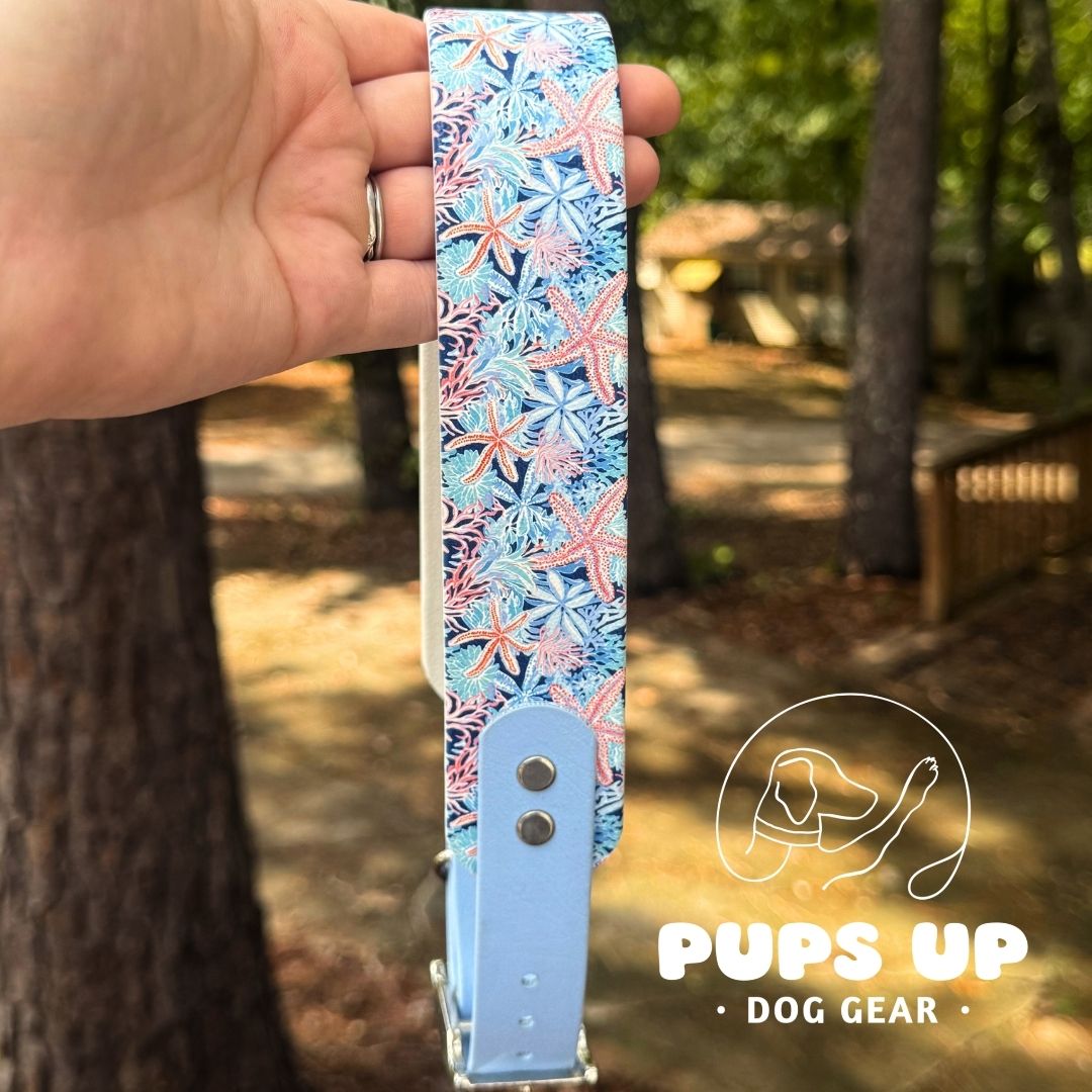 1.5" Tapered Starfish Collar