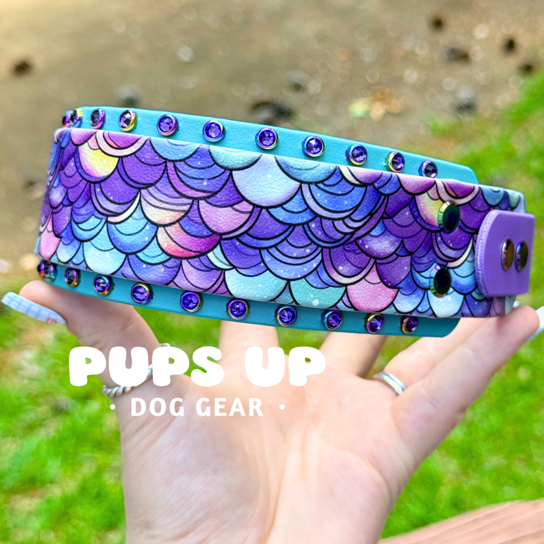 PREMADE 2" Crystal Collar