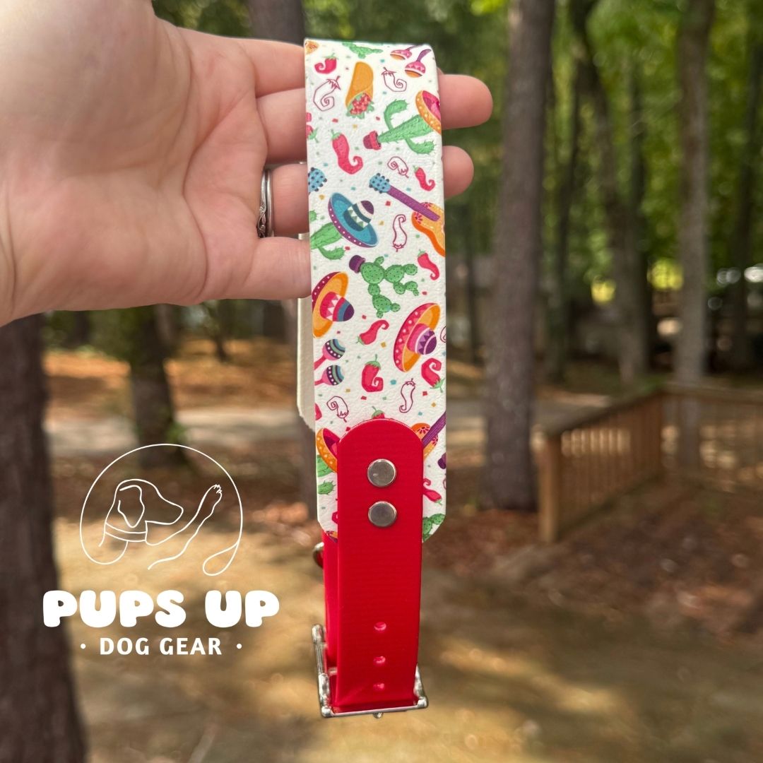 1.5" Tapered Fiesta Collar