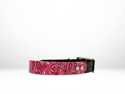 Medium (13-16 Inches) Pink Paisley UV Print with Black Accent Dog Collar