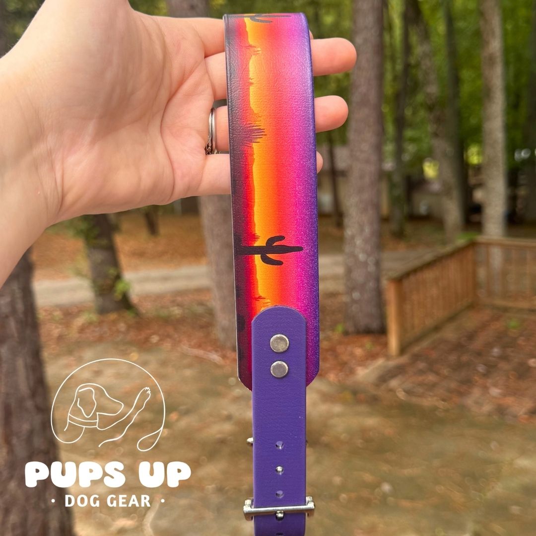 1.5" Tapered Desert Sunset Collar