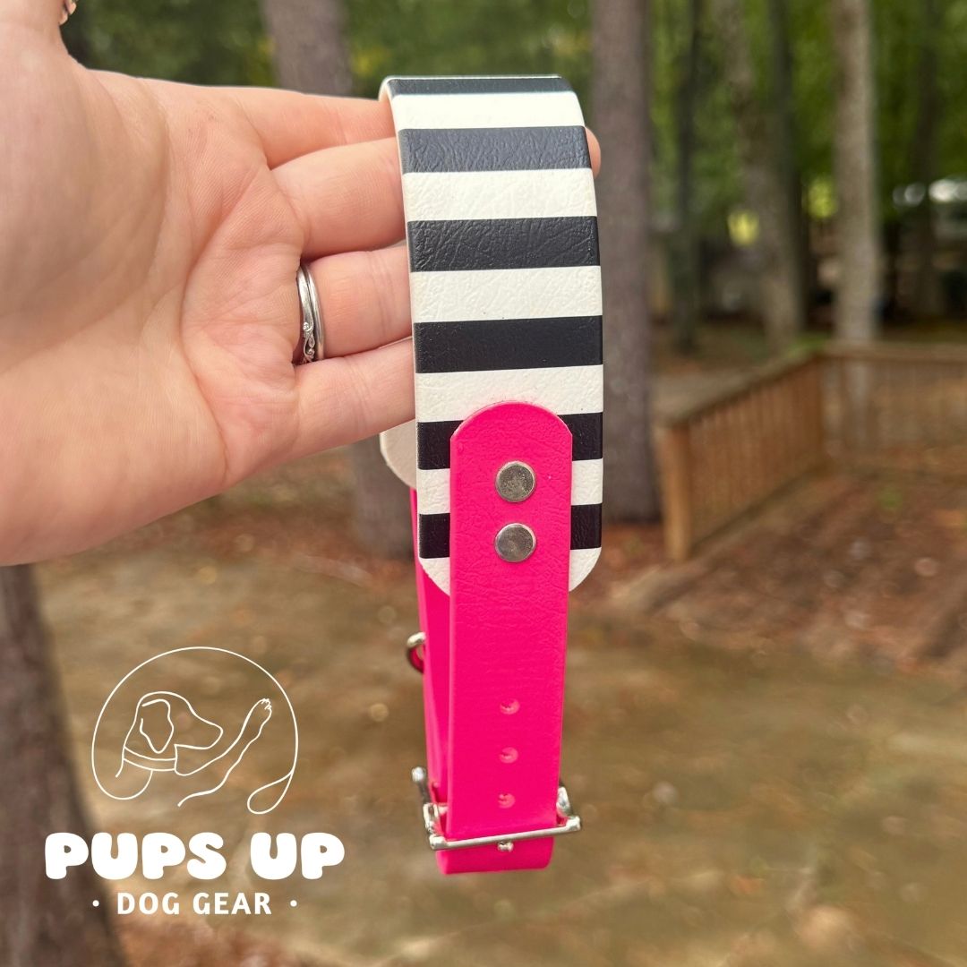 1.5" Tapered Stripes Collar
