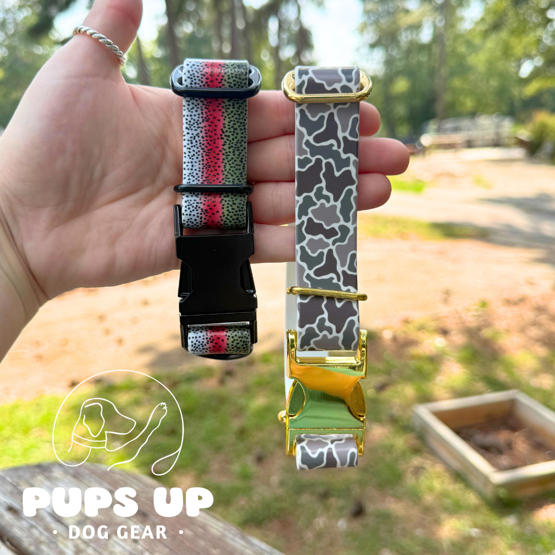 PREMADE 1" Rainbow Trout Quick Release Collar