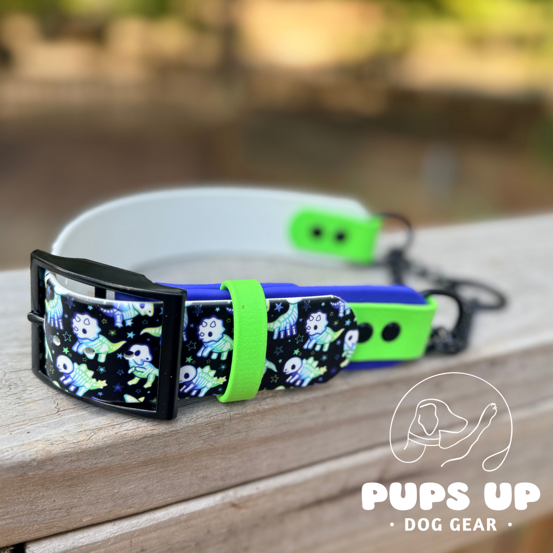 PREMADE 1.5" Skelly Dinos Martingale