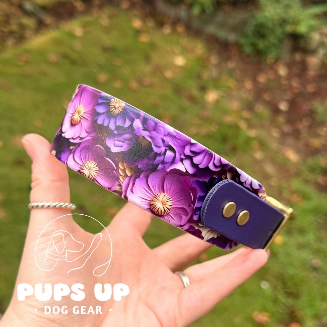 1.5" Tapered Violet Poppies Collar