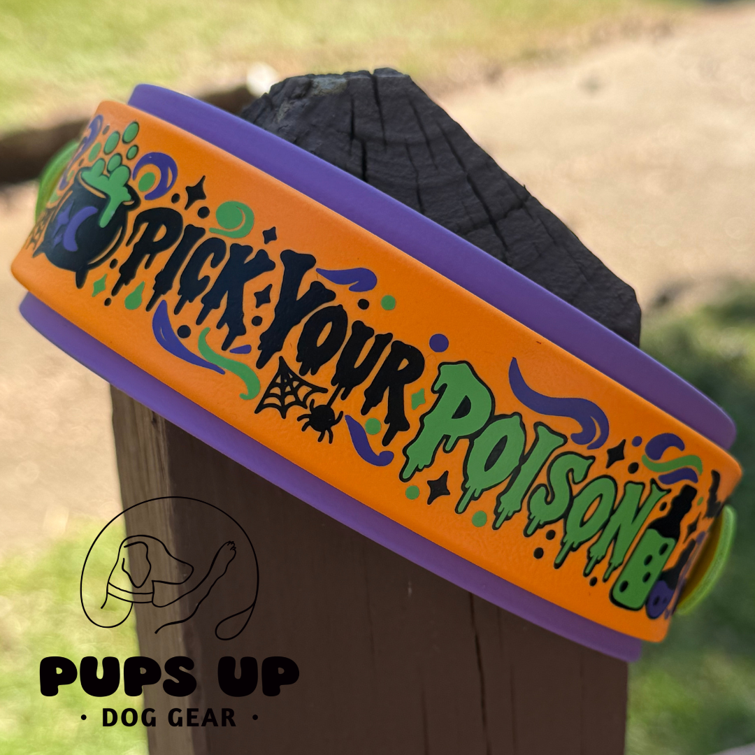 PREMADE 2" Pick Your Poison Collar