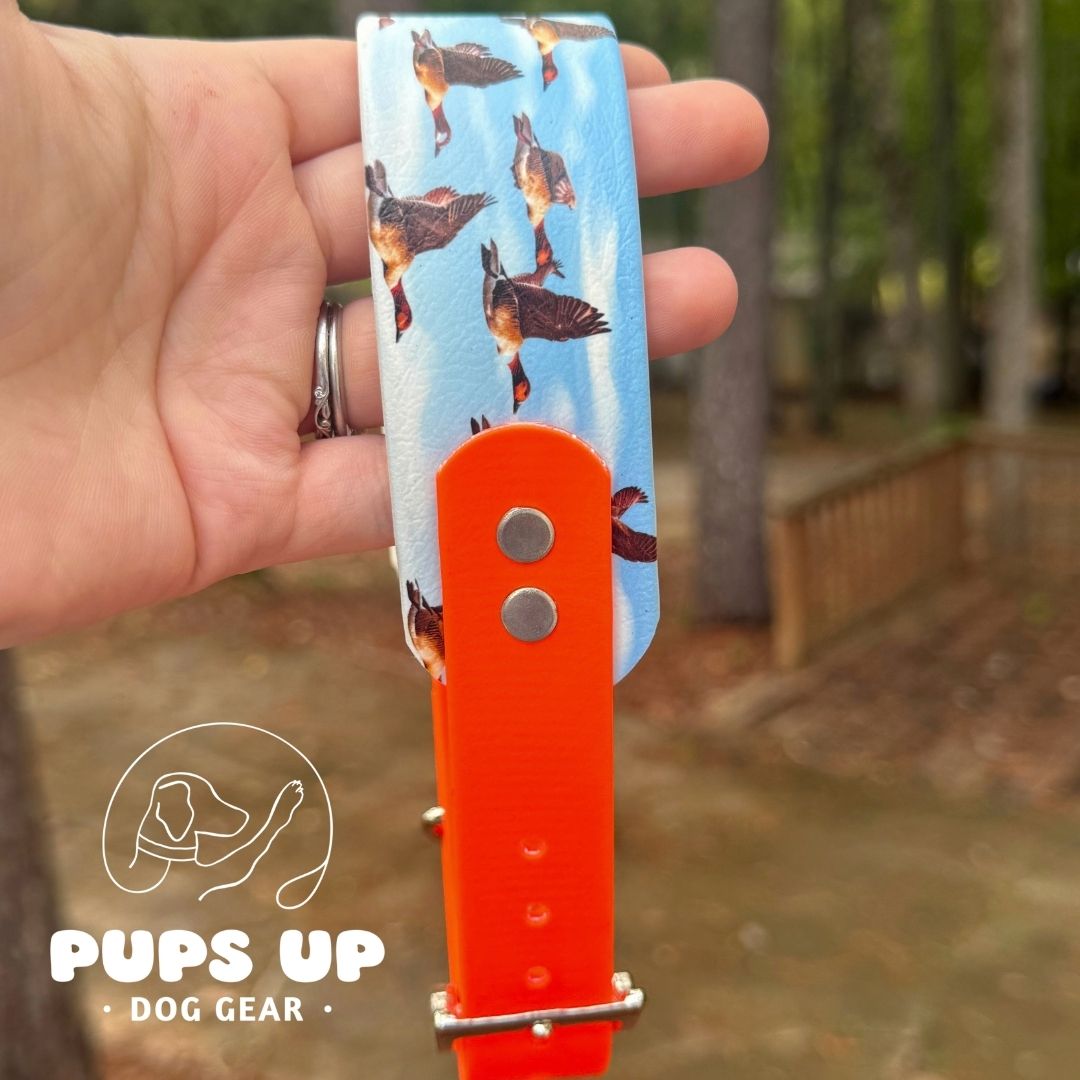 1.5" Tapered Ducks In Flight Collar