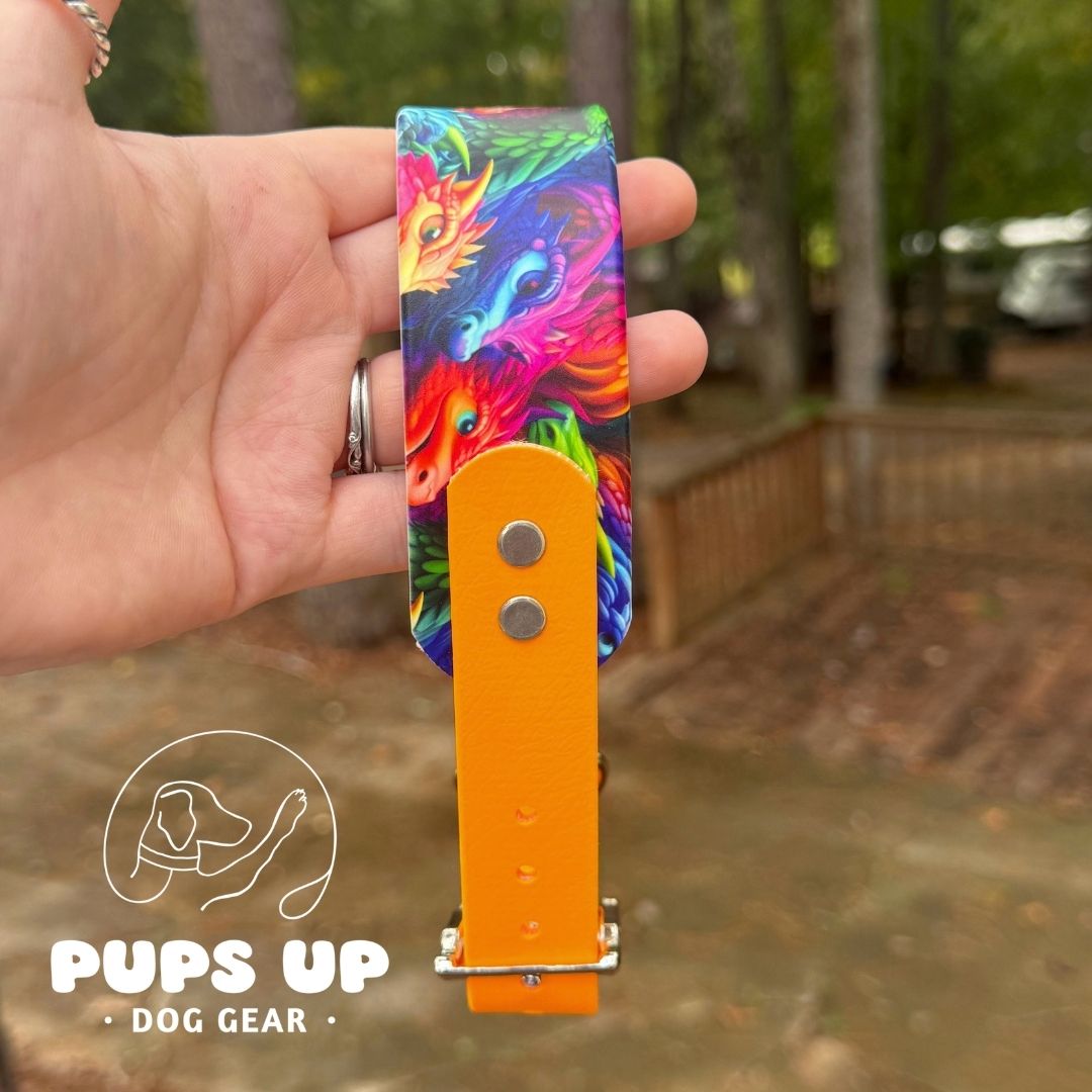 1.5" Tapered 3D Dragon Collar