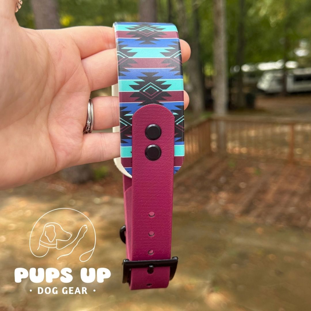 1.5" Tapered Blue Western Collar