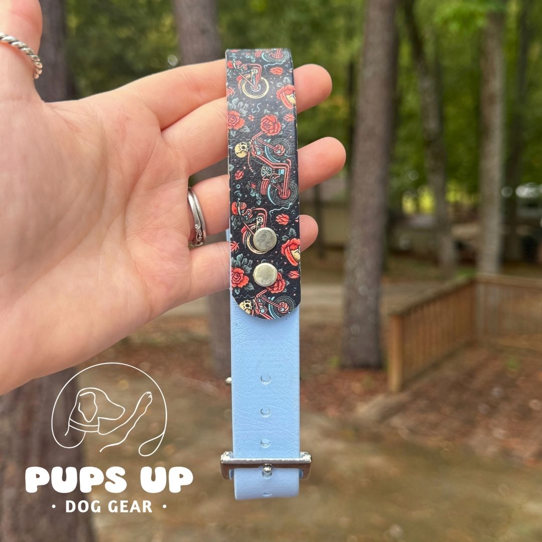 1" Motorcycle & Skulls Solid Accent Collar