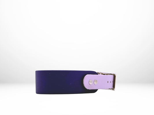 Medium (13-16 Inches) Purple with Lavender Accent Dog Collar