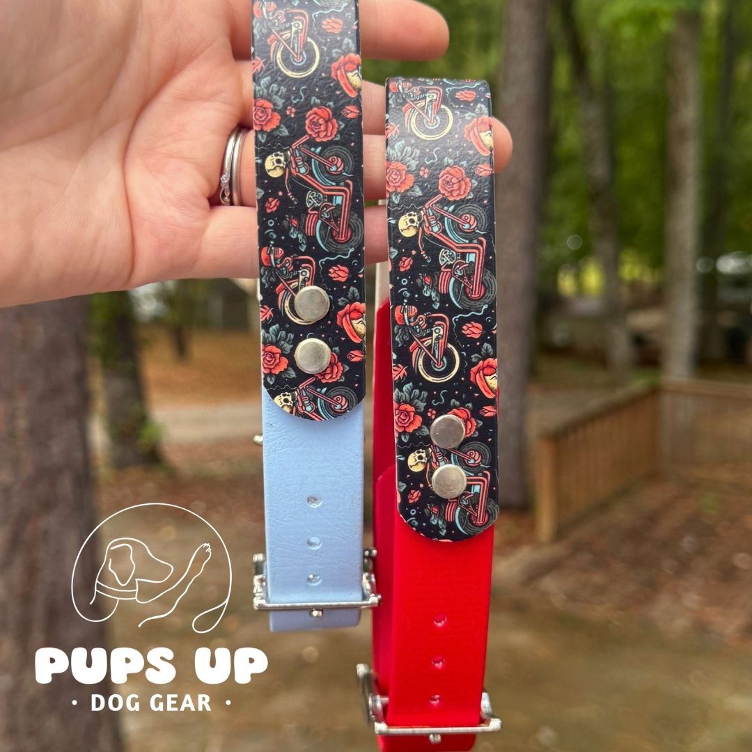 1" Motorcycle & Skulls Solid Accent Collar