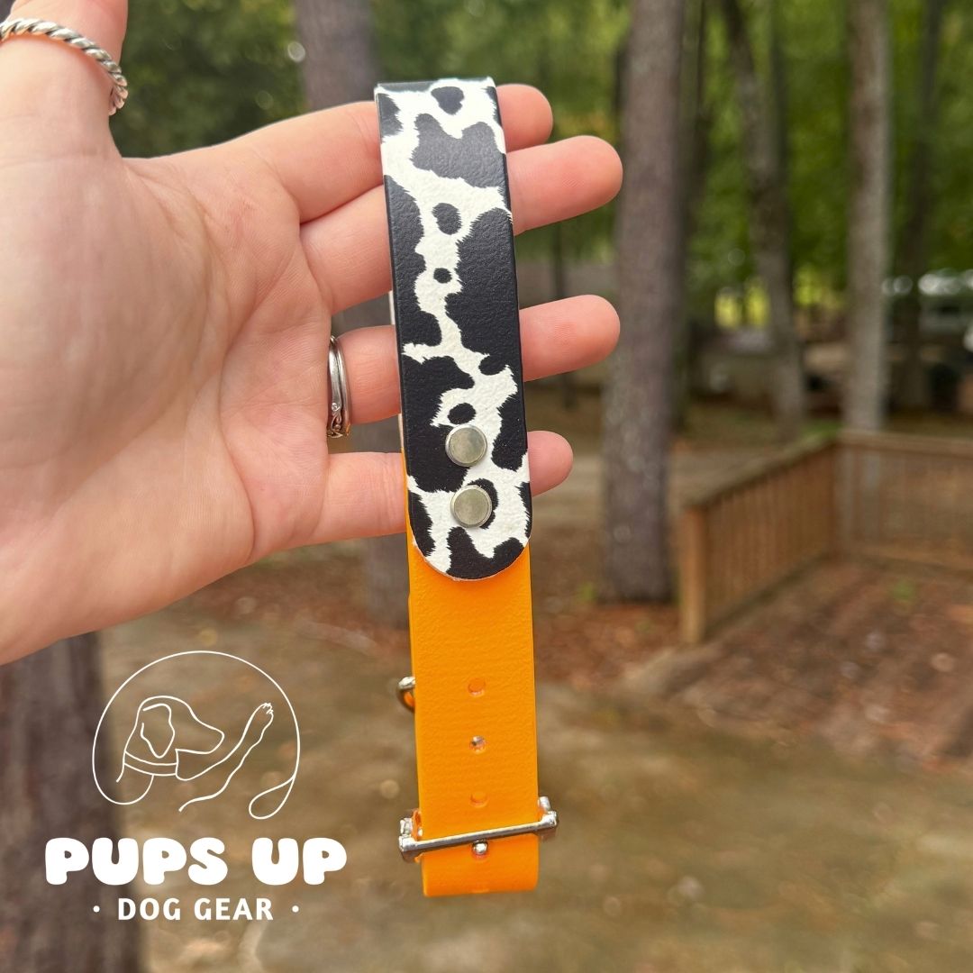 1" Cowhide Solid Accent Collar