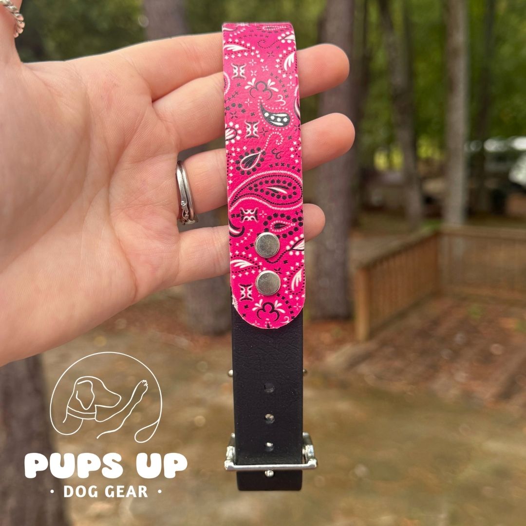 1" Pink Bandana Solid Accent Collar