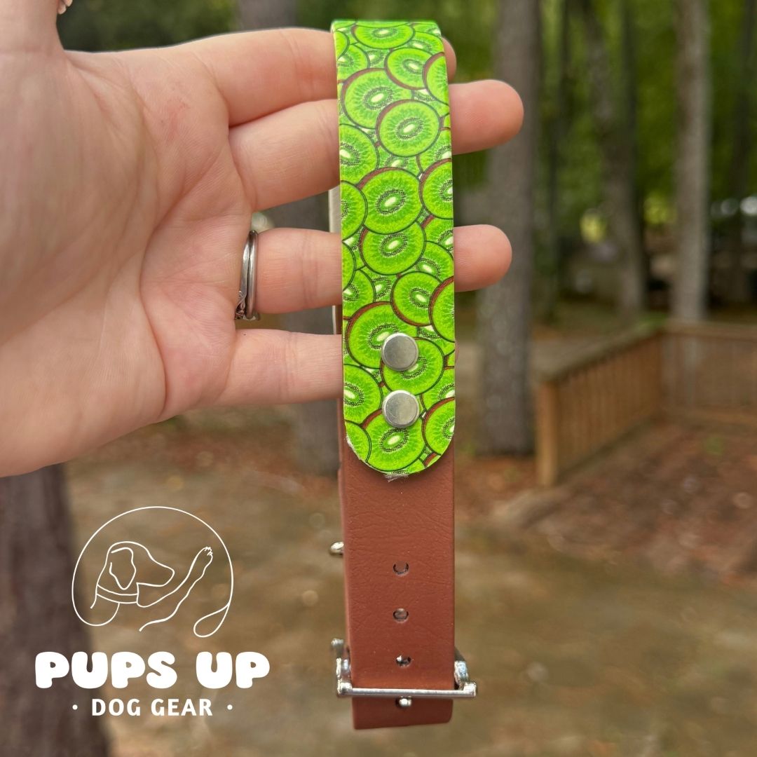 1" Kiwi Solid Accent Collar