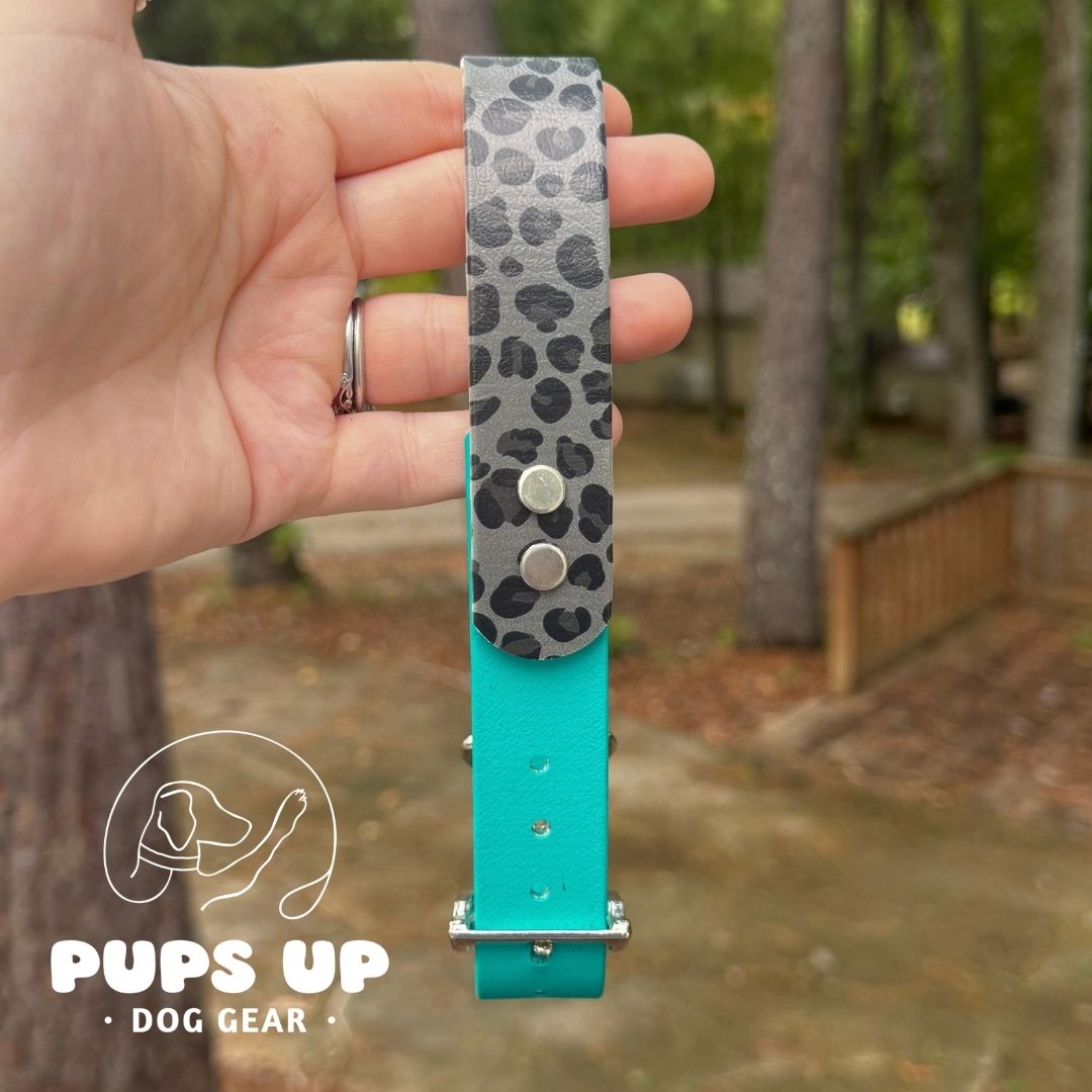 1" Black Leopard Solid Accent Collar