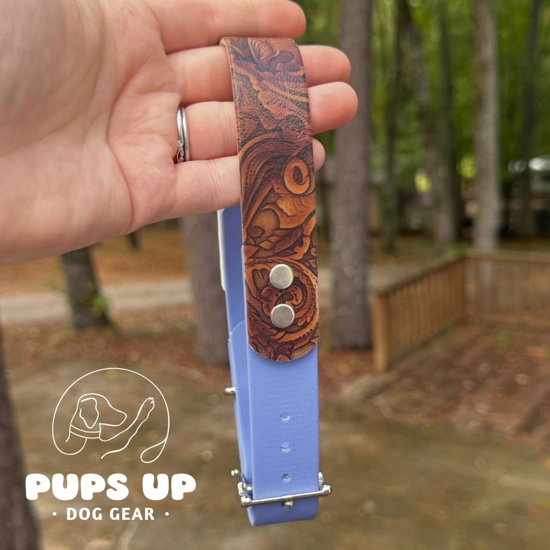 1" Carved Leather Solid Accent Collar