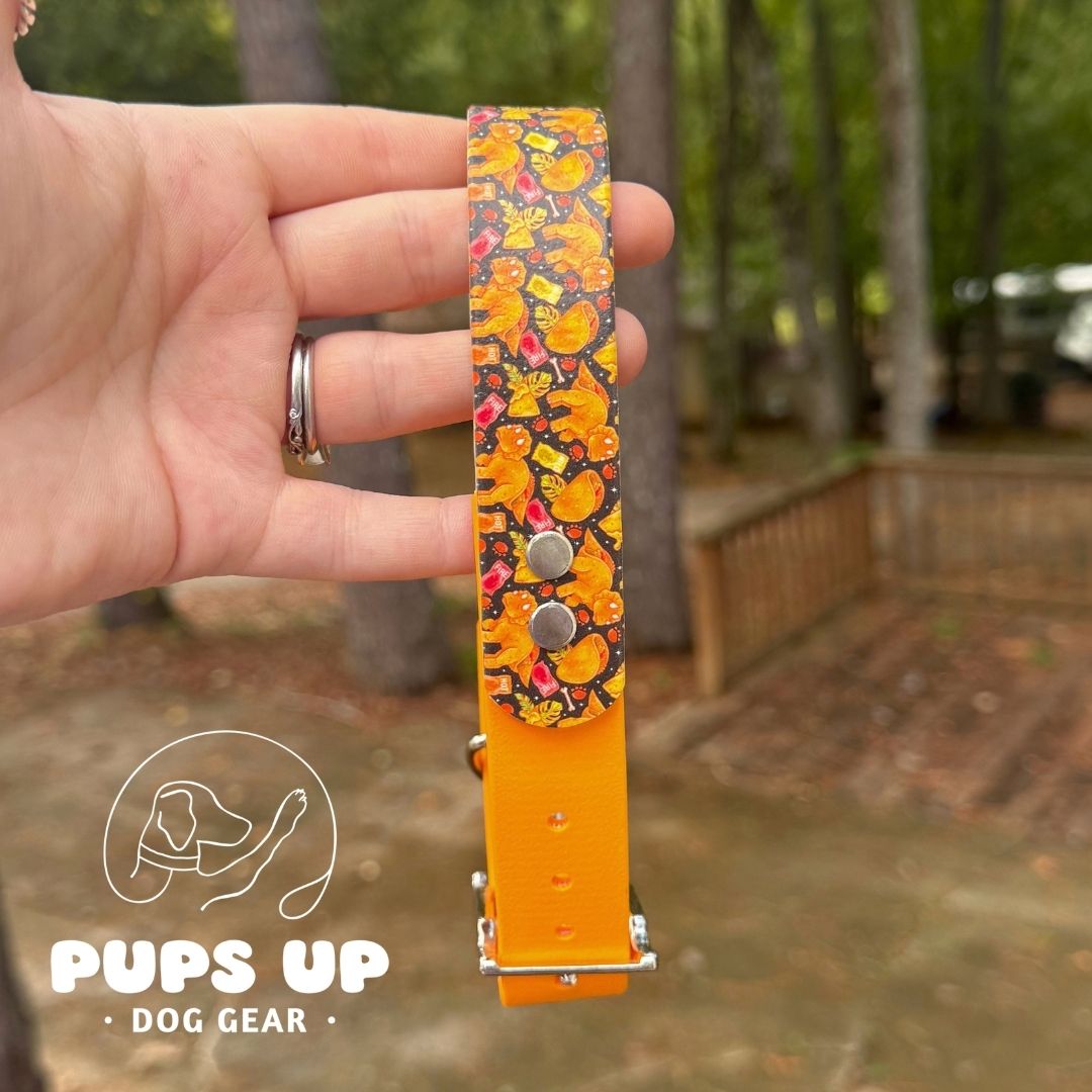 1" Taco Dinos Solid Accent Collar