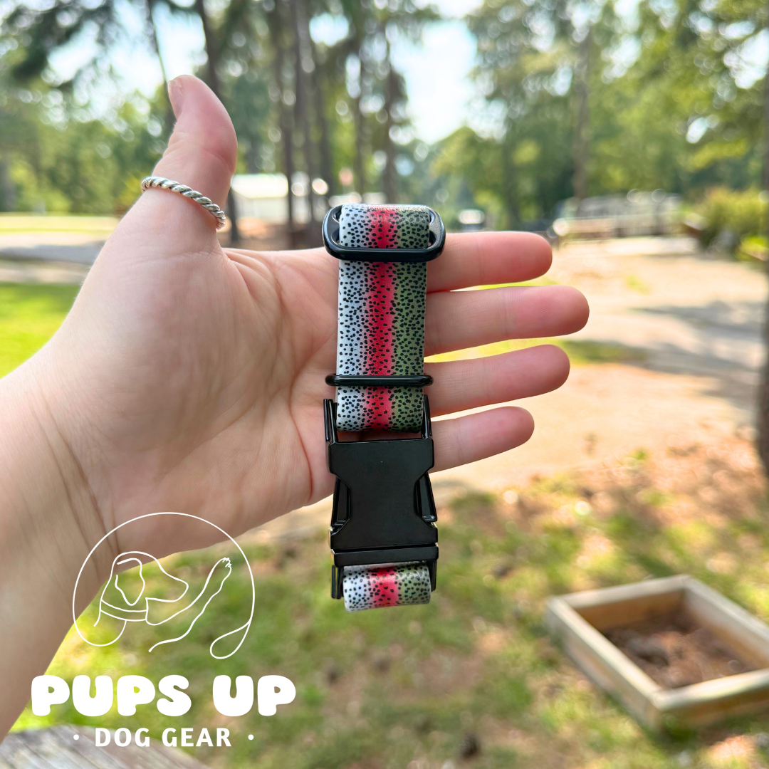 PREMADE 1" Rainbow Trout Quick Release Collar