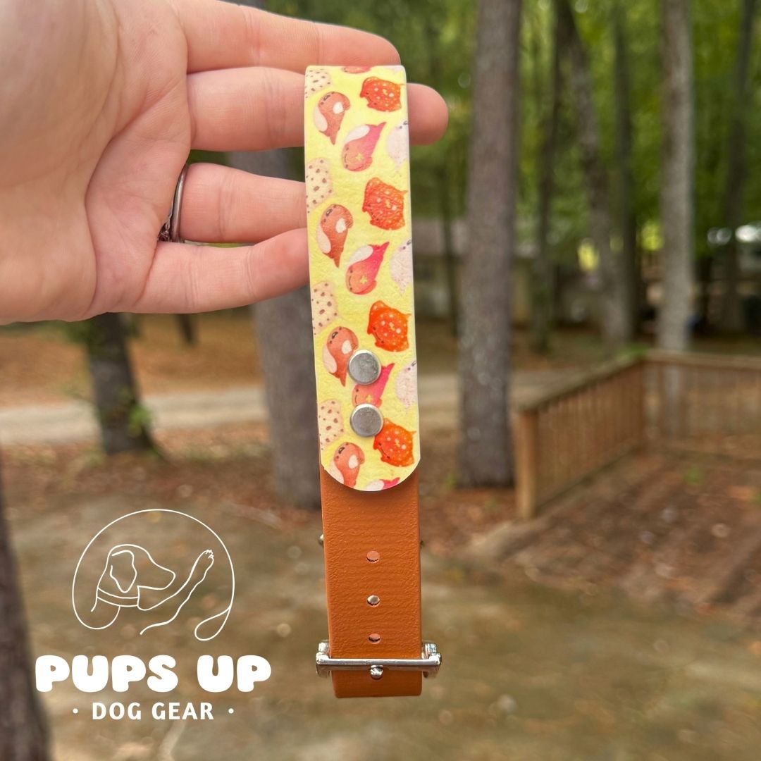 1" Pancake Rays Solid Accent Collar