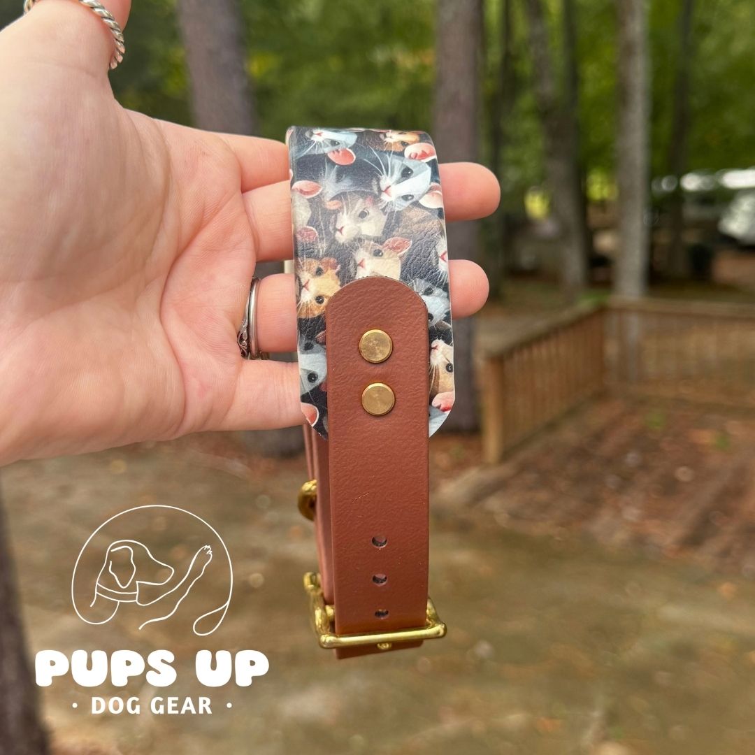 1.5" Tapered Rats Collar