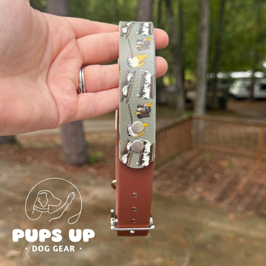 1" Smores Solid Accent Collar