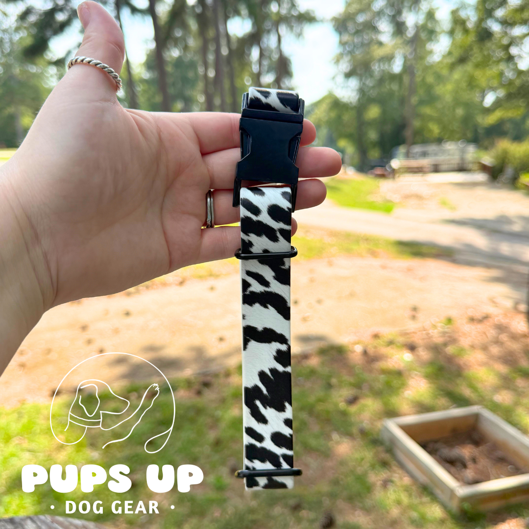 PREMADE 1" Cow Print Quick Release Collar