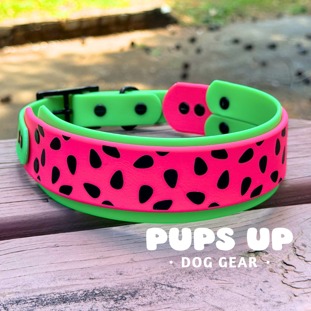 PREMADE 2” Watermelon Collar