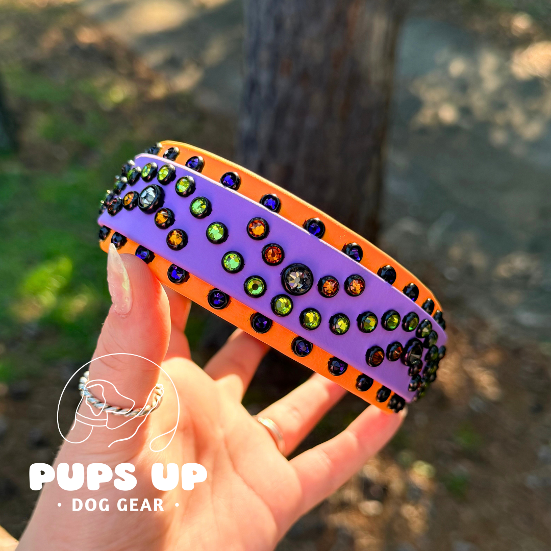 PREMADE 1.5" Crystal Collar - Halloween