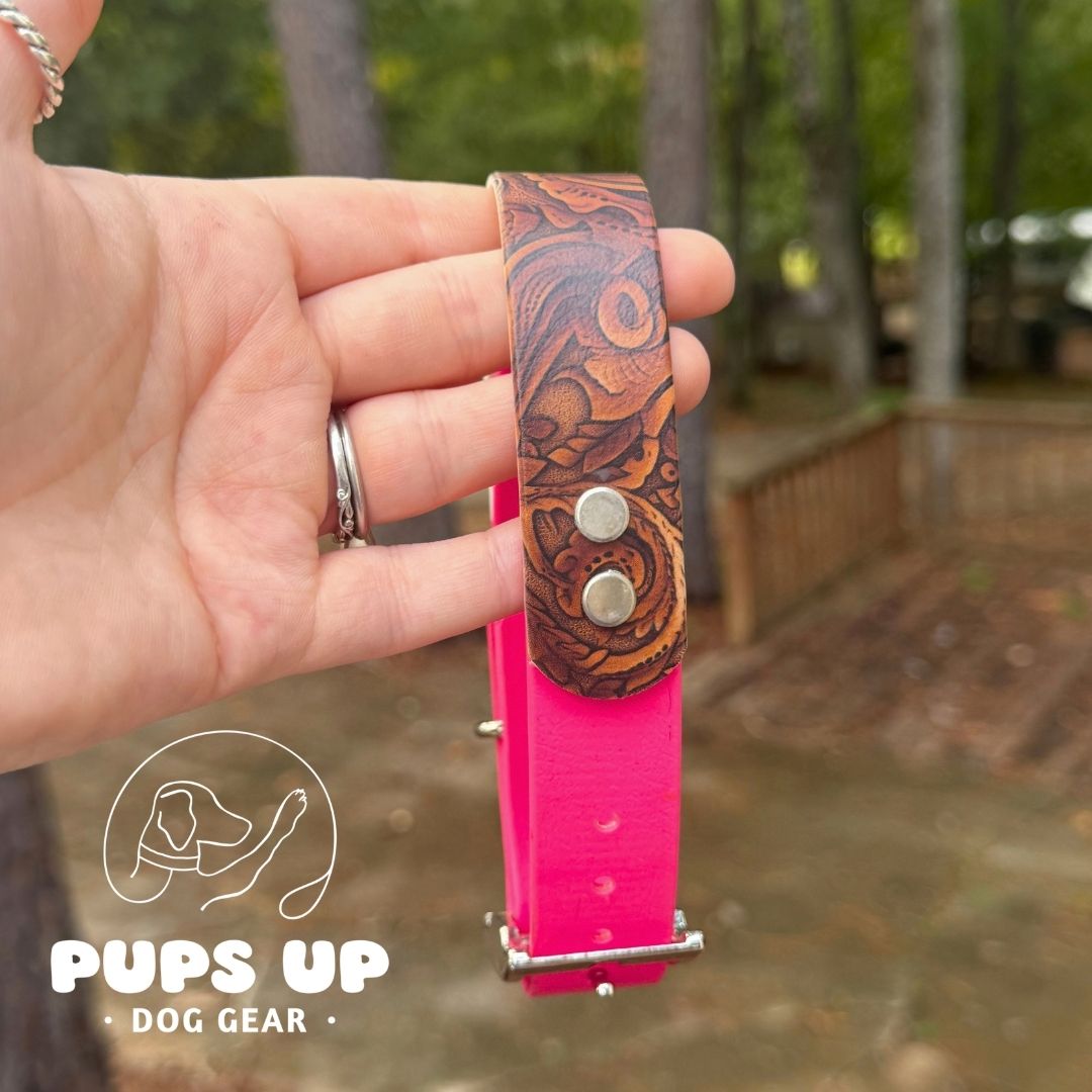 1" Carved Leather Solid Accent Collar