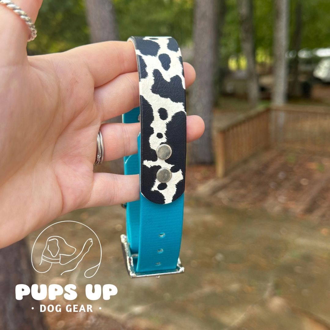 1" Cowhide Solid Accent Collar