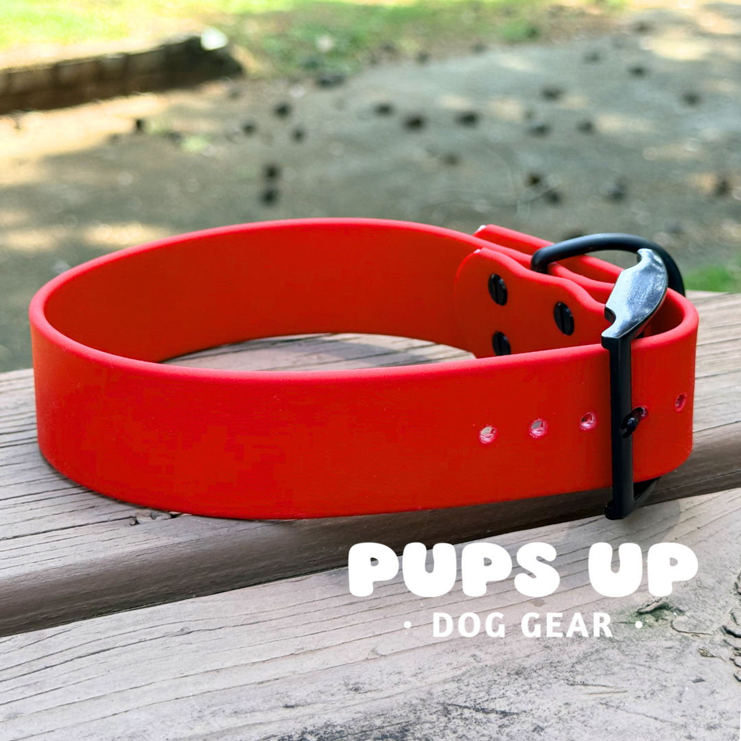 PREMADE 1.5" Red Collar