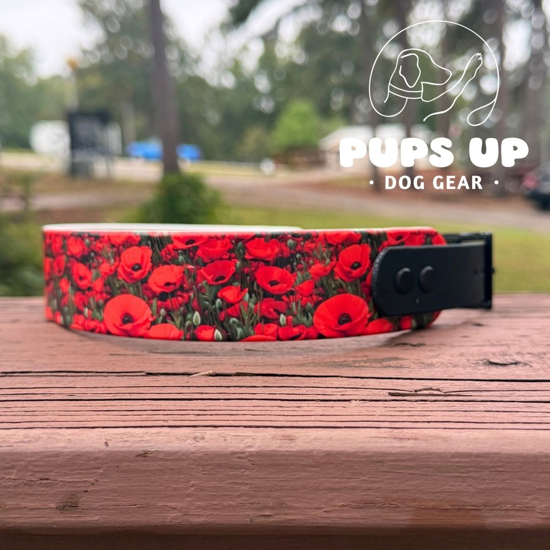 1.5" Tapered Red Poppies Collar