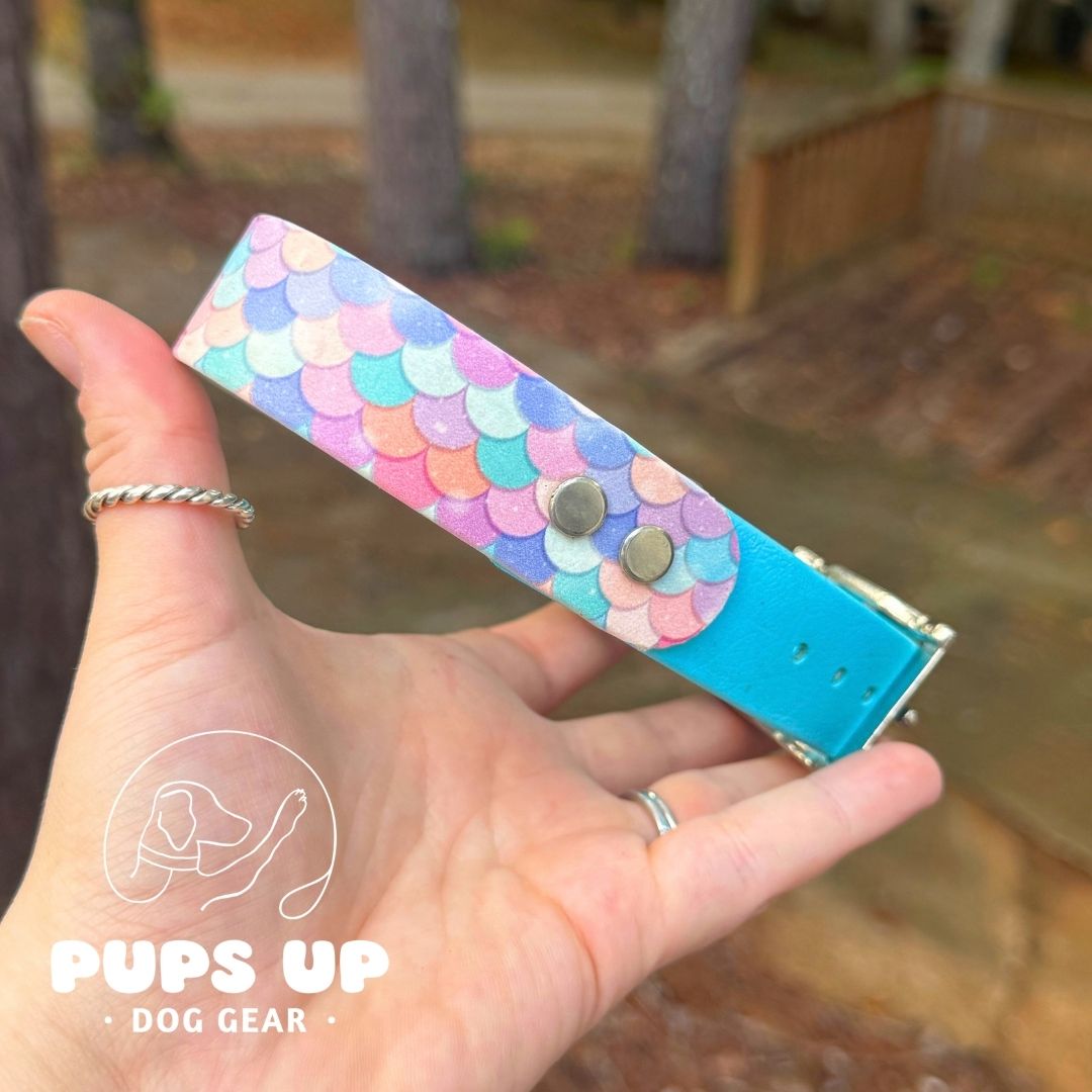 1" Pastel Mermaid Solid Accent Collar