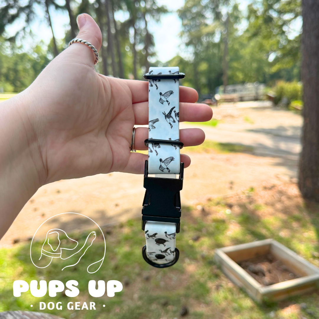 PREMADE 1" Canadian Geese Quick Release Collar